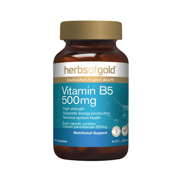 Herbs of Gold Vitamin B5 500mg 60c_media-01